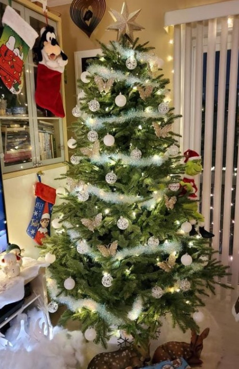 Foto real do produto